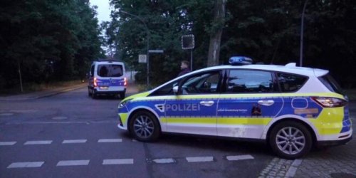 panik-um-streunende-lowen-in-berlin-c4ncdsys-660x330.jpg