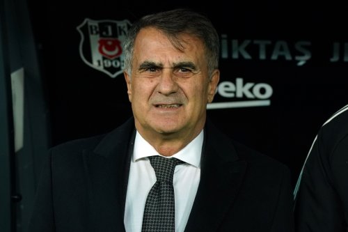 5294449.jpg