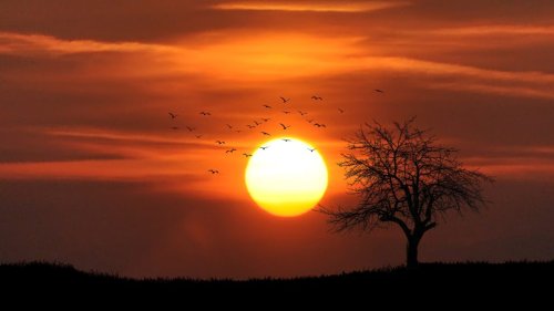 pexels-pixabay-36744-990x556.jpg