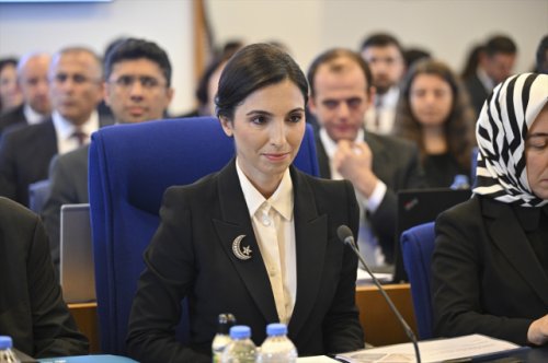 merkez-bankasi-baskani-hafize-gaye-erkan-16393959-5466-m.jpg