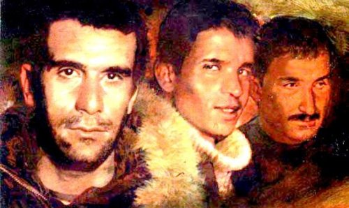 3fidan.jpg