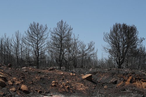urla-kullerinden-dogacak-1.jpg