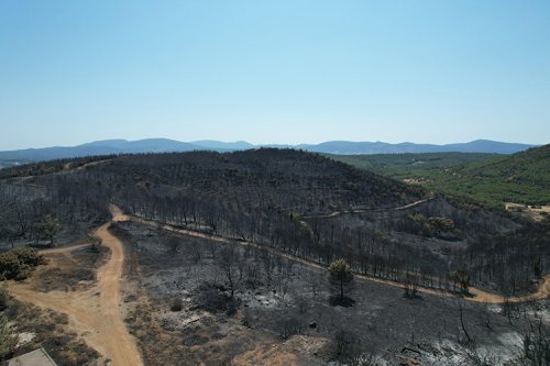 urla-kullerinden-dogacak-5.jpg