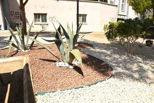 karabaglara-kurakcil-peyzaj-5.jpg