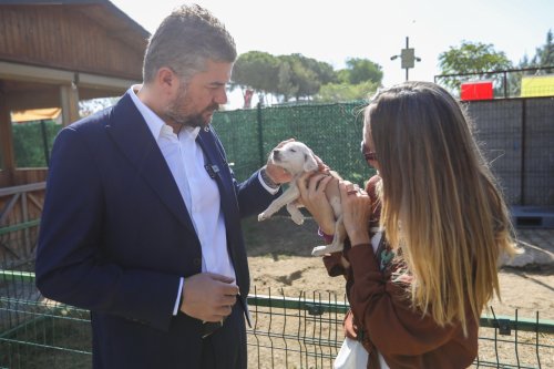 hayvanlari-koruma-gunu-etkinlik-06.jpeg