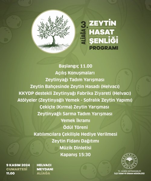 3-aliaga-3-zeytin-hasat-senliginde-bulusuyor.jpg