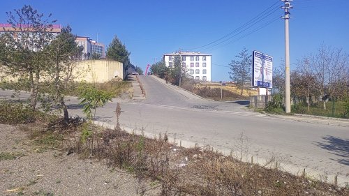 aw341753-06.jpg