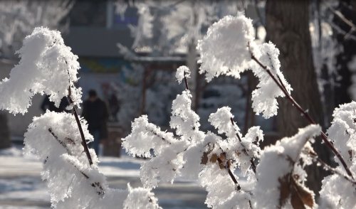 aw344533-03.jpg