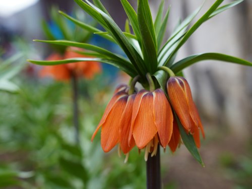 aw423359-05.jpg