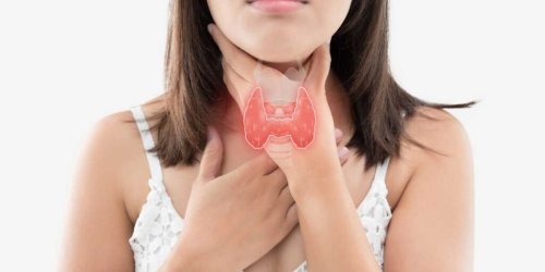thyroid-01-1024x512.jpg